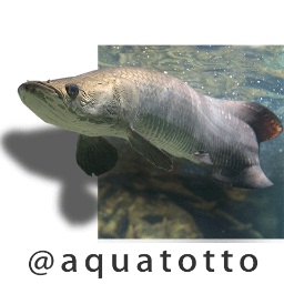 世界淡水魚園水族館アクアトトぎふの画像 世界淡水魚園水族館アクアトトぎふの画像