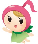 SalamancaHallの画像 SalamancaHallの画像