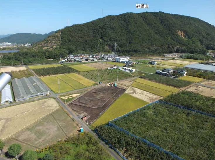 発掘区近景(南から) 発掘区近景(南から)