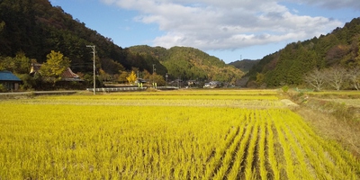 風景