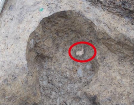 陶馬出土状況 陶馬出土状況