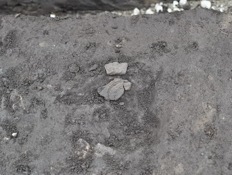 縄文土器出土状況 縄文土器出土状況