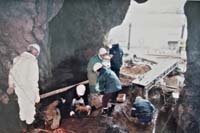 調査風景 調査風景写真