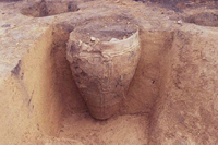 埋甕 埋甕の画像1