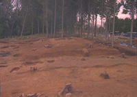 方形周溝墓 方形周溝墓の画像2