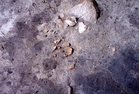 遺物出土状況 遺物出土状況