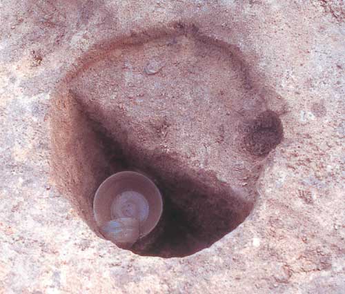 須恵器出土状況 須恵器出土状況