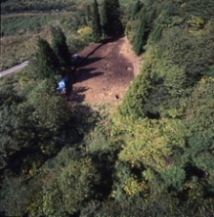 調査区全景 調査区全景1