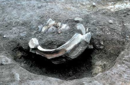 土器出土状況 土器出土状況の画像1