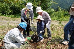 植樹活動
