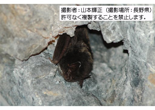 写真を拡大表示します 写真を拡大表示します