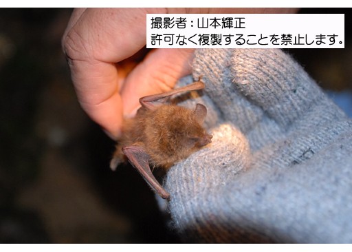 写真を拡大表示します 写真を拡大表示します
