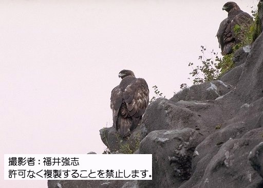 写真を拡大表示します 写真を拡大表示します