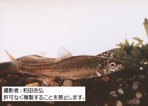写真を拡大表示します 写真を拡大表示します