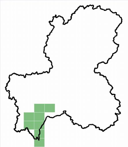 分布情報図を拡大表示します 分布情報図を拡大表示します