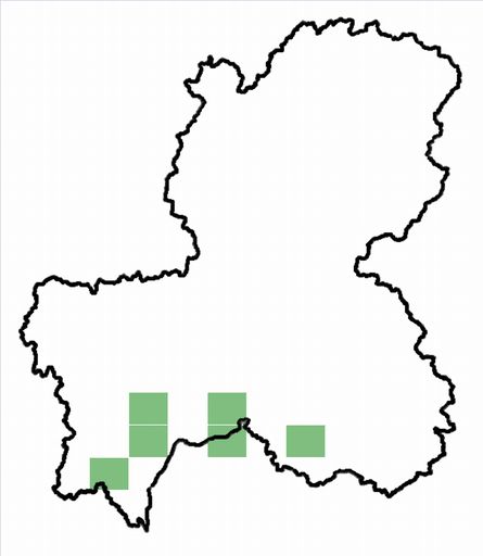 分布情報図を拡大表示します 分布情報図を拡大表示します