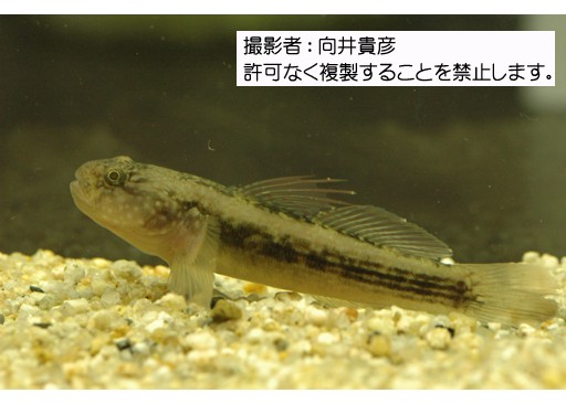 写真を拡大表示します 写真を拡大表示します