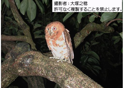 写真を拡大表示します 写真を拡大表示します