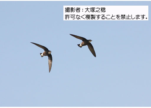 写真を拡大表示します 写真を拡大表示します