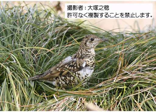 写真を拡大表示します 写真を拡大表示します