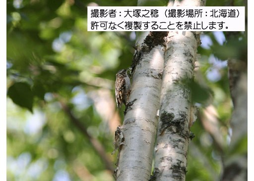 写真を拡大表示します 写真を拡大表示します