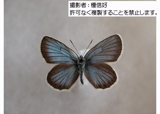 写真を拡大表示します 写真を拡大表示します