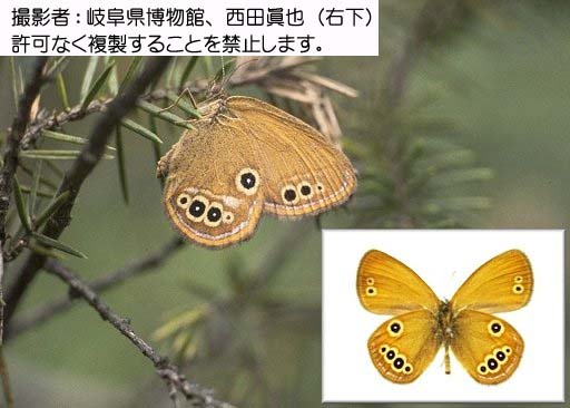 写真を拡大表示します 写真を拡大表示します
