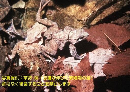 写真を拡大表示します 写真を拡大表示します
