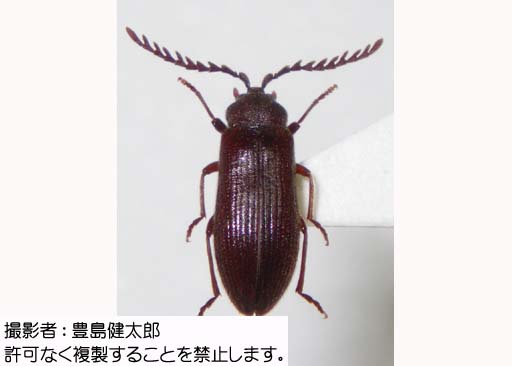 写真を拡大表示します 写真を拡大表示します