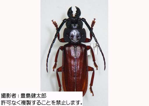 写真を拡大表示します 写真を拡大表示します