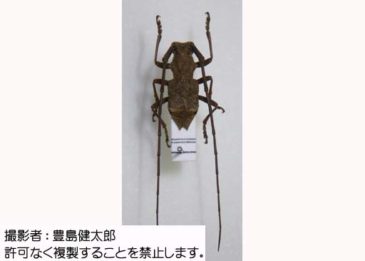 写真を拡大表示します 写真を拡大表示します