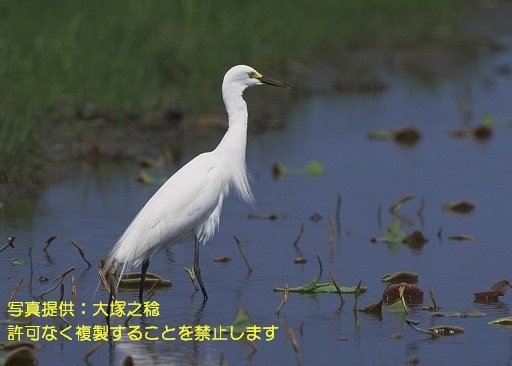 写真を拡大表示します 写真を拡大表示します
