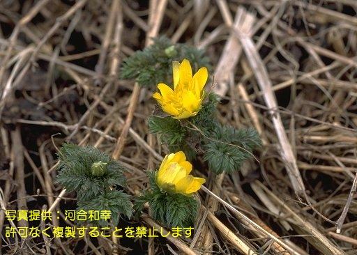 写真を拡大表示します 写真を拡大表示します