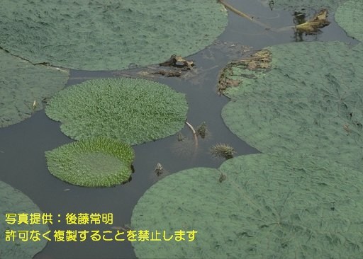 写真を拡大表示します 写真を拡大表示します