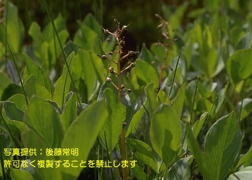 写真を拡大表示します 写真を拡大表示します
