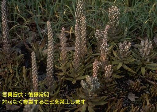 写真を拡大表示します 写真を拡大表示します