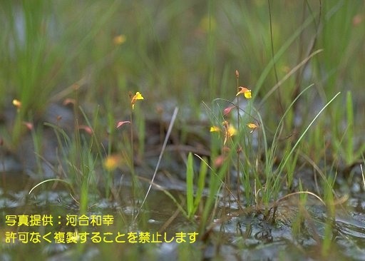 写真を拡大表示します 写真を拡大表示します