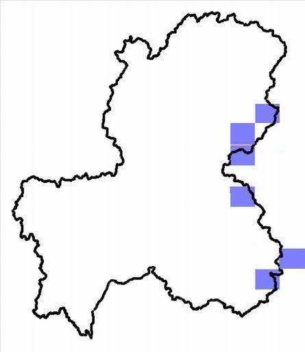 分布情報図を拡大表示します 分布情報図を拡大表示します