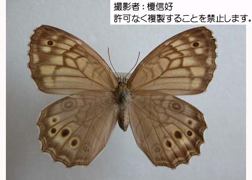 写真を拡大表示します 写真を拡大表示します