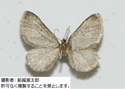 写真を拡大表示します 写真を拡大表示します