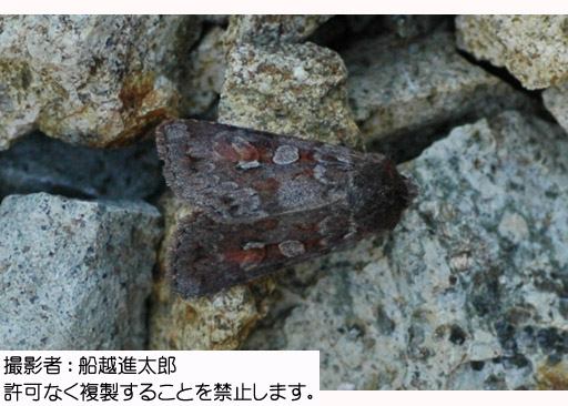 写真を拡大表示します 写真を拡大表示します