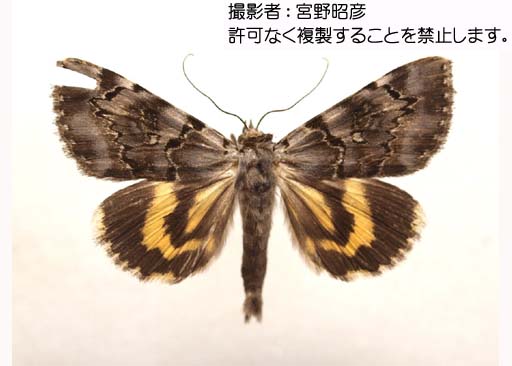 写真を拡大表示します 写真を拡大表示します