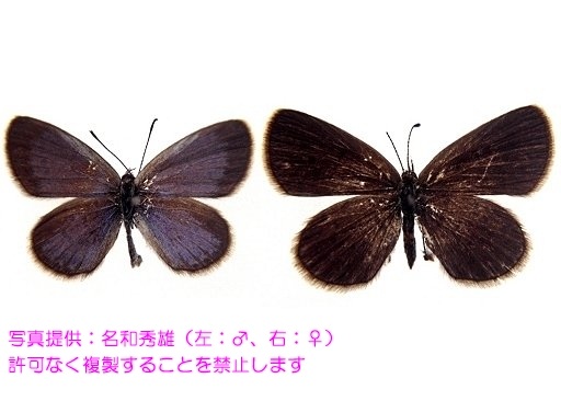 写真を拡大表示します 写真を拡大表示します