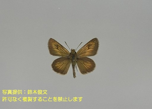 写真を拡大表示します 写真を拡大表示します