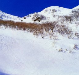 伊吹県立自然公園