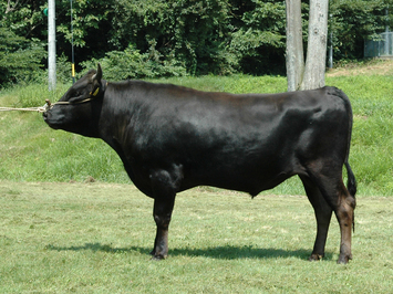 孝隆平（たかりゅうだいら）号