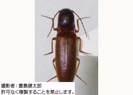 写真を拡大表示します 写真を拡大表示します