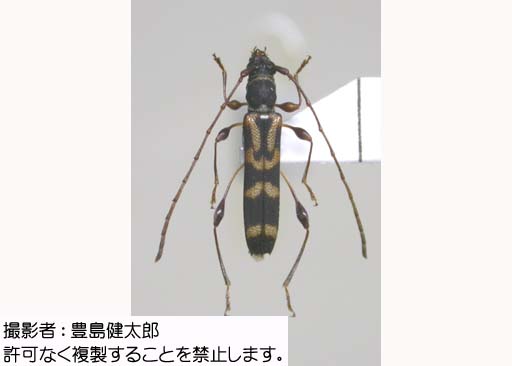 写真を拡大表示します 写真を拡大表示します