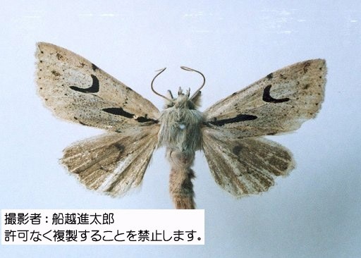 写真を拡大表示します 写真を拡大表示します