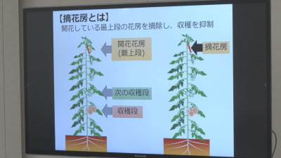 摘花房とは